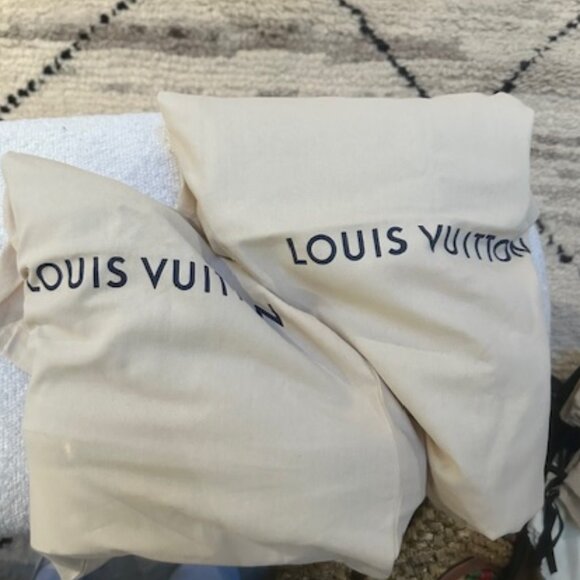 Louis Vuitton Laureate Platform Desert Boot - Picture 12 of 12